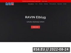 Miniaturka domeny www.ravin.pl