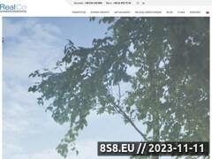 Miniaturka realco.pl (Firma oferuje <strong>nieruchomości</strong>)