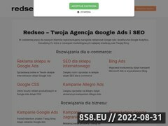 Miniaturka www.redseo.pl (Agencja RedSEO)