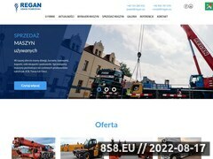 Miniaturka www.regan.eu (Wynajem podnośników, dźwigów i żurawi)