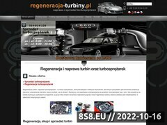 Miniaturka domeny www.regeneracja-turbiny.pl