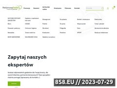 Miniaturka reklamowygadzet.pl (Gadżety reklamowe, materiały reklamowe i długopisy)