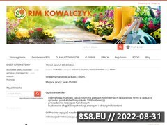 Miniaturka domeny www.rimkowalczyk.pl