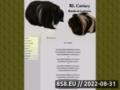 Miniaturka domeny rl-caviary.pl