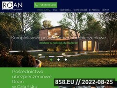 Miniaturka domeny www.roan-ubezpieczenia.pl