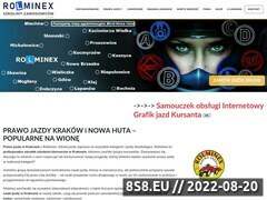 Miniaturka domeny rolminex.com.pl