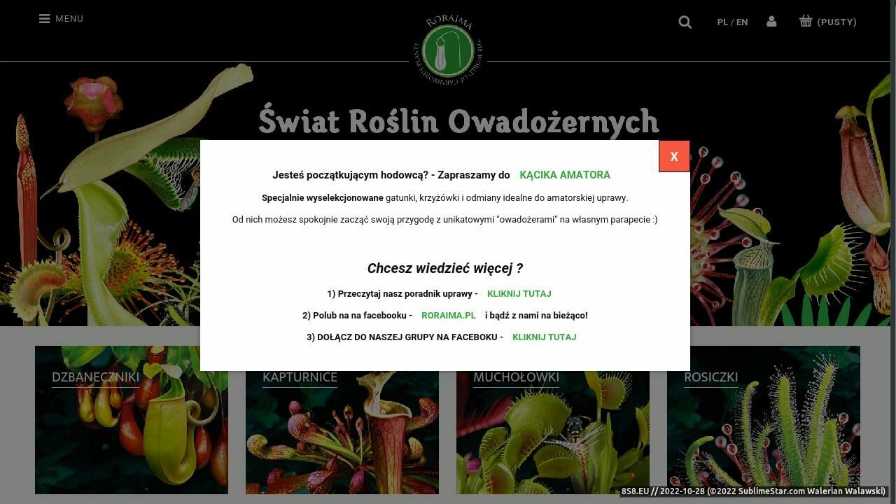 Zrzut ekranu Rośliny owadożerne - muchołówki, rosiczki