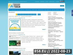 Miniaturka domeny rowerowytorun.com.pl