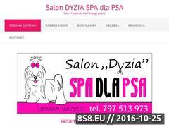 Miniaturka www.salondyzia.pl (Strzyżenie, trymowanie i kąpiel (psów))
