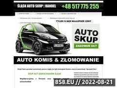 Miniaturka domeny samochody-skupujemy.pl