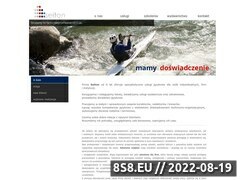 Miniaturka domeny www.seiton.pl