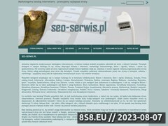 Miniaturka domeny www.seo-serwis.pl