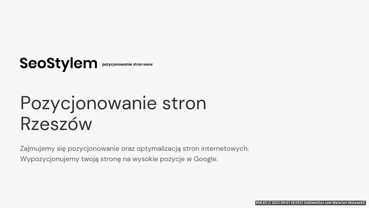 Pozycjonowanie stron WWW w zagranicznych wyszukiwarkach (strona seo-stylem.pl - SEO-stylem.pl)