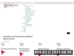 Miniaturka serverini.pl (Hosting, domeny i usługi)