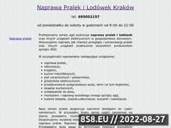 Miniaturka domeny serwis-naprawa-agd.pl