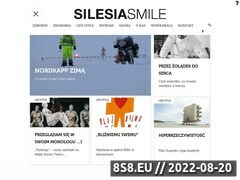 Miniaturka silesiasmile.pl (Reklama firm w gazecie)