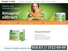 Miniaturka strony Sinupret - informacje o leku