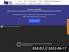 Miniaturka domeny www.skk.pl