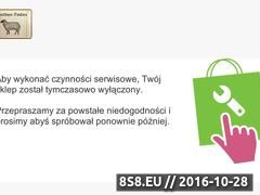 Miniaturka sklep.wooltex-tedex.pl (Wooltex-Tedex producent pościeli wełnianej)