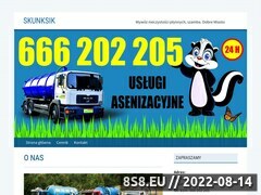 Miniaturka domeny skunksik.pl
