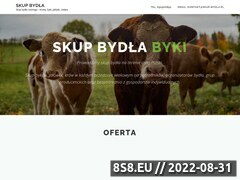 Miniaturka domeny skup-bydla.pl