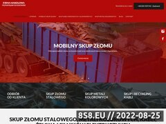 Miniaturka domeny www.skup-zlomu.net