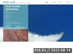 Miniaturka domeny skup-zlomu24.pl