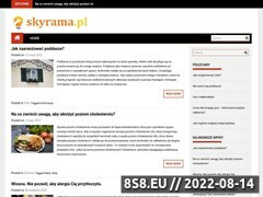 Miniaturka domeny www.skyrama.pl