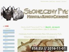 Miniaturka domeny slonecznypyl.pl