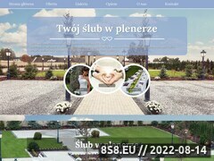 Miniaturka slub-w-plenerze.com (Zawarcie związku małżeńskiego w plenerze)