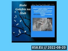 Miniaturka strony Biae gobie na lub Warszawa