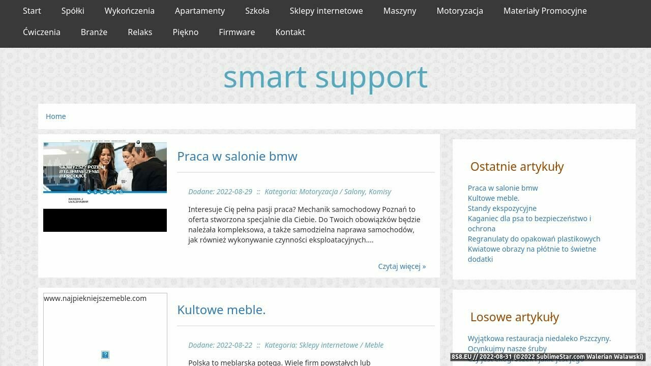 Pogotowie komputerowe Skierniewice (strona smartsupport.com.pl - Smart Support)