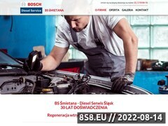Miniaturka smietana-diesel.pl (Diagnostyka i naprawa silników diesel)