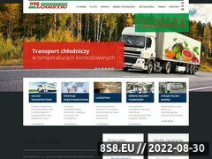 Miniaturka strony Transport midzynarodowy i krajowy