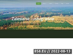 Miniaturka solaris-masiarz.pl (Usługi leśne, doradztwo rolne oraz usługi dronem)