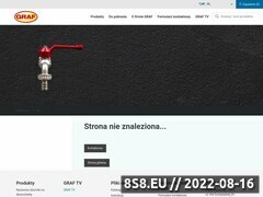 Miniaturka domeny www.sotralentz.pl
