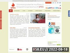 Miniaturka domeny spes.org.pl