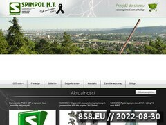 Miniaturka domeny www.spinpol.com.pl