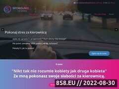 Miniaturka spokojnie.com.pl (Jazdy doszkalające Warszawa)