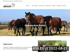 Miniaturka stajniabeskid.pl (Stadnina koni w Łabowej k. Nowego Sącza)