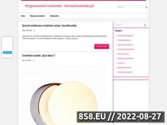 Miniaturka stronalazienki.pl (E-sklep Stronalazienki.pl - Drzwi Prysznicowe)
