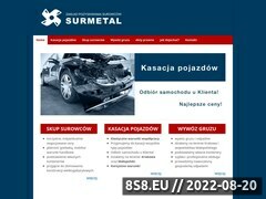 Miniaturka domeny surmetal.pl