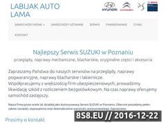 Miniaturka domeny suzuki.poznan.pl