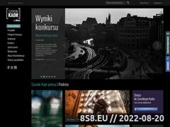 Miniaturka domeny www.szerokikadr.pl