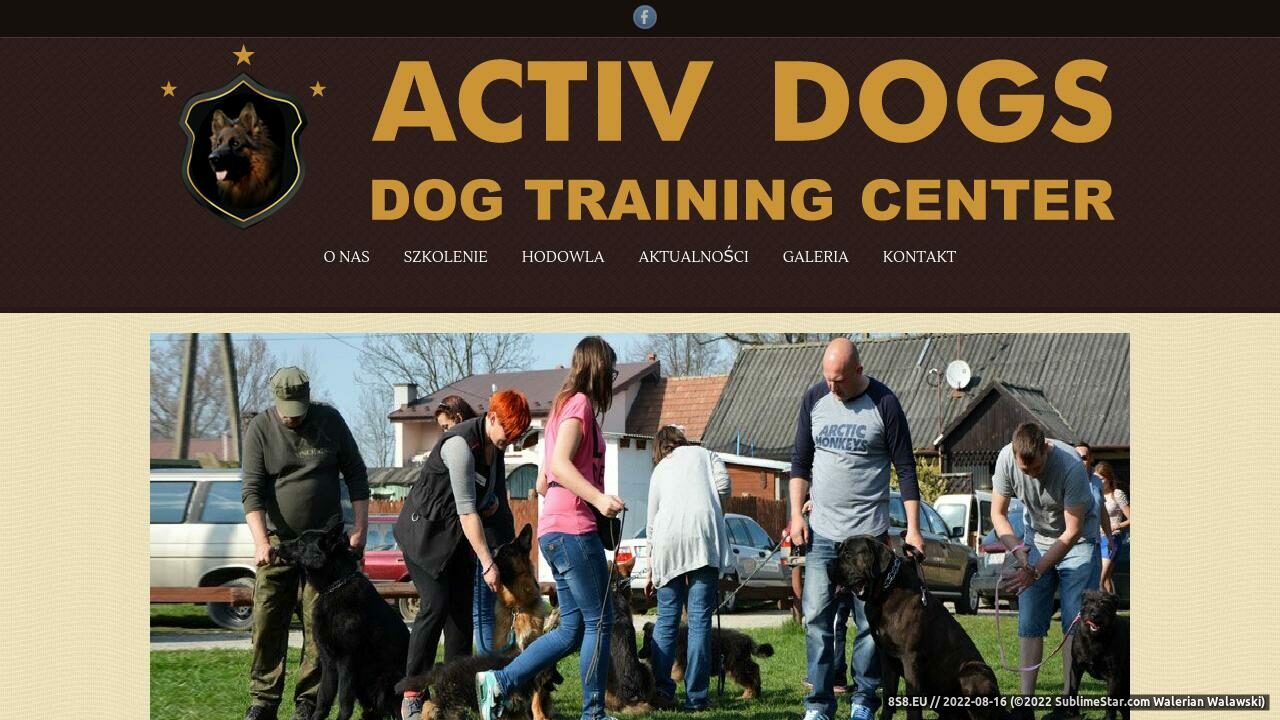 Szkolenie psów, hodowla owczarek niemiecki, tresura (strona szkoleniepsy.pl - Szkoleniepsy.pl)