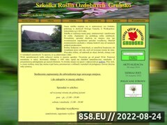 Miniaturka szkolkagrubsko.com (Szkółka Roślin Ozdobnych Grubsko)