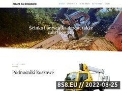 Miniaturka domeny szybkiepodnosniki.pl