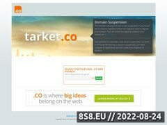 Miniaturka domeny www.tarket.co