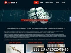 Miniaturka tbpro.pl (Tynkowanie maszynowe)