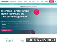 Miniaturka teleroute.pl (Europejska giełda transportowa)